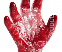 Blood Vessel Configurations