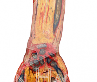 Sheet Plastinates
