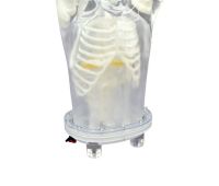 X-Ray / CT